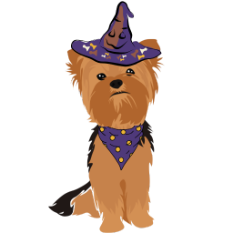 Grand Wizard Yorkie